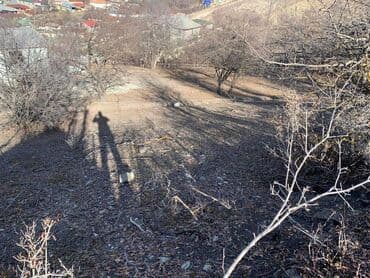 baku electronics xacmaz: 14 sot, Mülkiyyətçi, Kupça (Çıxarış) — 3