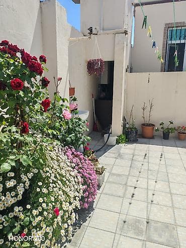 imişlidə ev satılır: Satılır: həyət evi Ünvan zığ 6 saylı Vərəm Dispanseri 3 otaqlı — 2