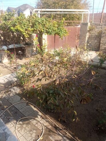 снять комнату в общежитии: Satilr: geniş və işıqlı otaq.2 otaq 1 zal metbex hamam ayaq yolu — 24