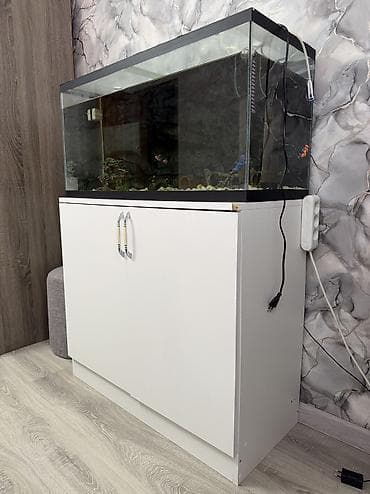 akvarium baku: Dördbucaq akvarium, Boş, 150 l — 3
