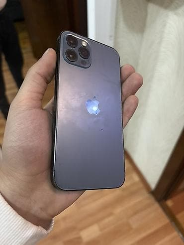 IPhone 12 Pro, 256 GB, Space Gray, Face ID