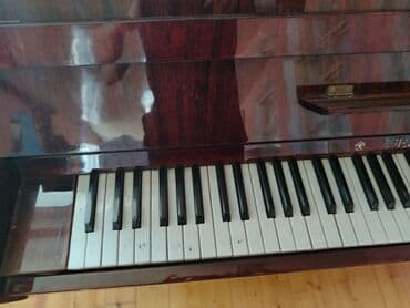 CD, DVD disklər və kassetlər: Sintezator, Belarus, İşlənmiş, Ünvandan götürmə — 3