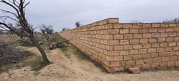 mida evlər: 53 sot, Tikinti, Mülkiyyətçi, Kupça (Çıxarış) — 3