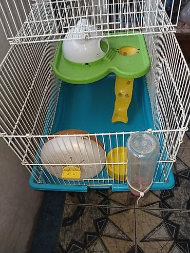 qefes: Hamster üçün tam dəst qəfəs Xüsusiyyətlər: - Metall çubuqlu, üst — 4