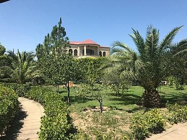 upd heyet evleri: Bakı, Nardaran qəs., 800 kv. m, 8 otaq, Hovuzlu, Kombi, Qaz, İşıq — 3