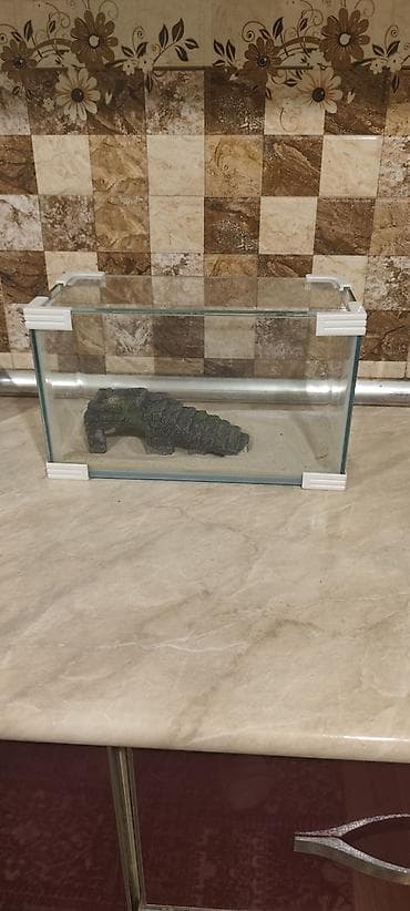 akvarum baliqlari: Şüşə akvarium seti - Material: şəffaf qalın şüşə, möhkəm bucaqlıq — 2