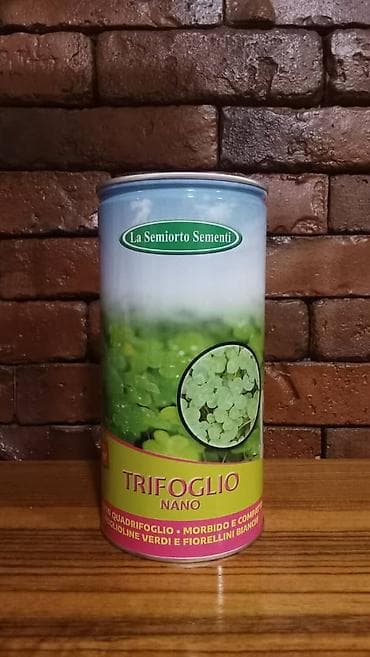 xan aqro: Dekorativ yonca toxumu — 1