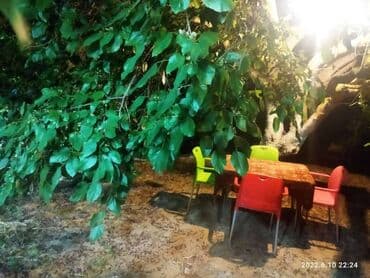 qaracuxurda ev: 100 kv. m, 2 otaqlı — 15