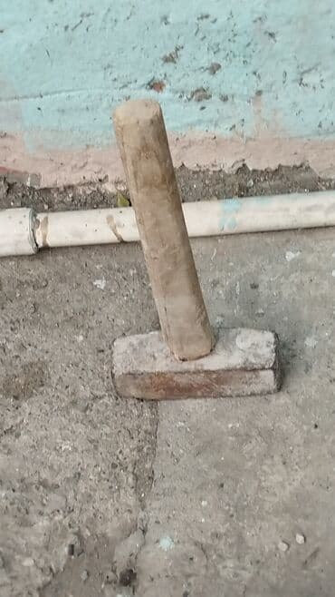 Otaq bitkiləri: Kvadrat çaxmaqlı — 1