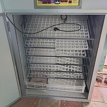 inkubator satisi: 1100 yumurta, Çin, Tam avtomat — 3