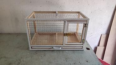 Dovşan,cücə,pişik,hamster,quş ve s kimi ev heyvanlari üçün qəfəsler