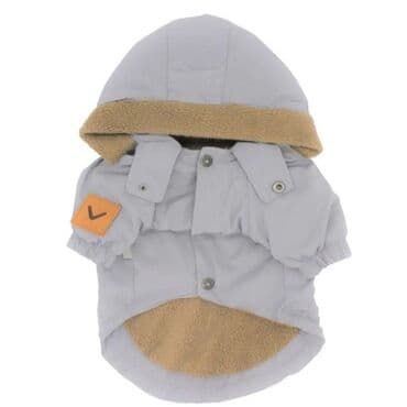 отдам в добрые руки щенка баку 2019: 1 il, Erkek — 4