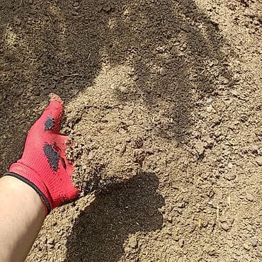 Toz halinda mal peyini - kisesi 2,80 q. ( boyuk kepek kisesinde)