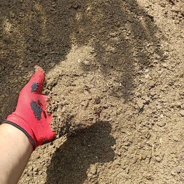 dibcək gulləri ev gulleri ve adlari: Toz halinda mal peyini - kisesi 2,60 q. ( boyuk kepek kisesinde) — 1