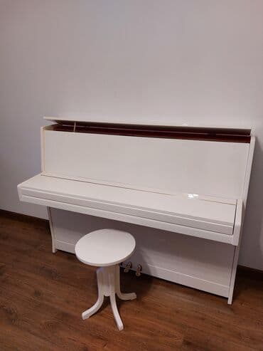 piano dersleri baki: Pianino PETROF Cexiya stehsalı. ideal vəziyyədə. Cadrılma və köklənmə — 1