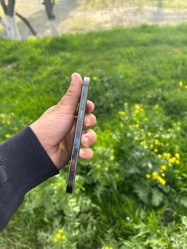 iphone 17 satışı: IPhone 12 Pro, 128 GB, Graphite, Face ID — 4