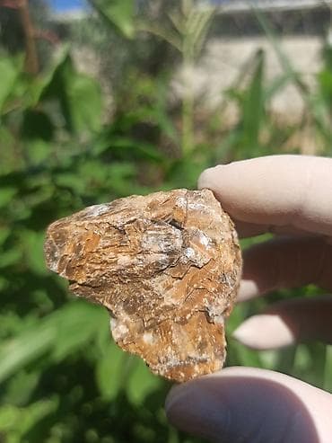 Milyon İllik Tarixi Fosil 💎 Daşlaşmış Ağac ( Petrified Wood ) 🪵 ✨ Bu — 9