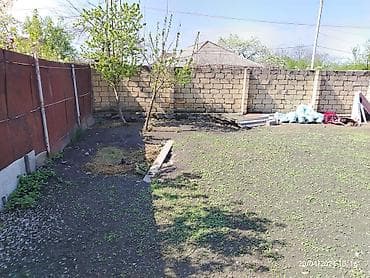 zaqatala telebe evi: 3 sot, Biznes üçün, Mülkiyyətçi, Bələdiyyə — 3