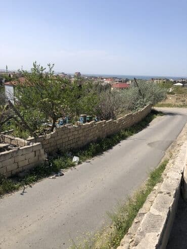 yol qırağı torpaq: 4 sot, Tikinti, Mülkiyyətçi, Kupça (Çıxarış) — 3