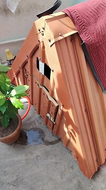 zvanoq itler: Metaldan hazırlanmış it evi / küçə heyvanları üçün qapalı yuva - — 1