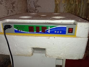 inkubator cuceleri: 300 yumurta, Çin, Tam avtomat — 3