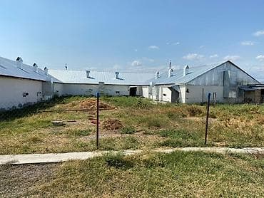 3 otaqlı mənzillərin satışı: Ferma və təsərrüfat kompleksi 📍Ünvan : Ağsu rayonu • Sahə : 85 sot • — 5