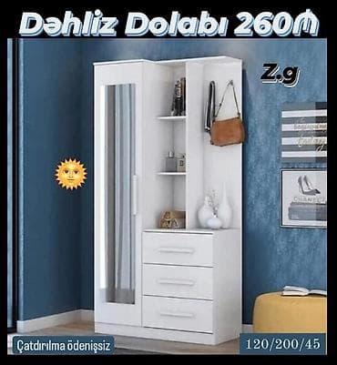 modern metbex mebelleri: Dehliz dolabı — 1