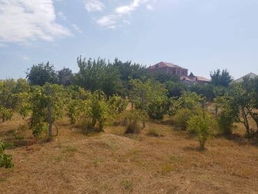 dübəndi torpaq: 23 sot, Tikinti, Makler, Kupça (Çıxarış) — 10
