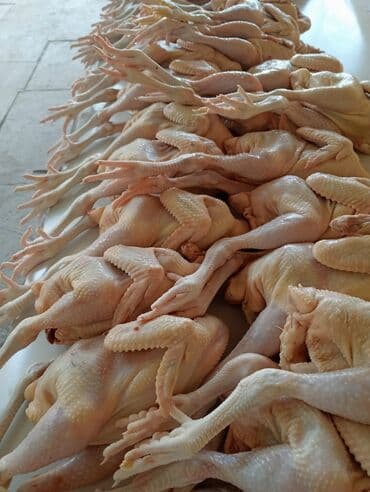 Вешалки: Ətinin dadi çox dadli temiz eti 850-950qramliq çolpalar satilir azi — 2