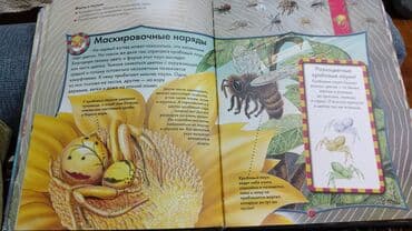 детские сумки: Детские сказки,в идеальном состояние несколько книжек новые.цены от 3 — 7