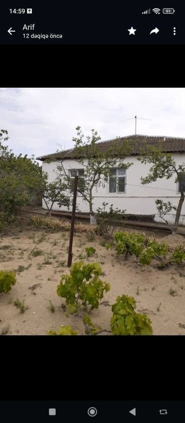 Saray, 90 kv. m, 3 otaqlı, Artezian quyusu, İnternet, Telefon lalafo.az -da Saray, 90 kv. m, 3 otaqlı, Artezian quyusu, İnternet, Telefon