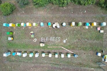 продается мед: ELF BEE'S 1977 ECO-PRODUCT FOR HEALTH AND LONGEVITY Tovuzun — 25