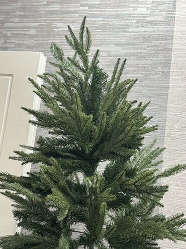 şam satışı: Məhsul: Yeni il şam ağacı Təsvir: - Hündür, sıx budaqlı şam ağacı — 3