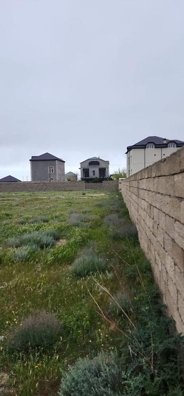 şu: 3 sot, Tikinti, Mülkiyyətçi, Kupça (Çıxarış) — 2