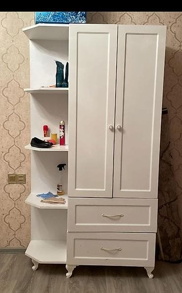 paltar qarderobu: (Dehliz dolabi) yaxwi veziyyetde seliqeli islenib qiriq siniq yoxdur — 1