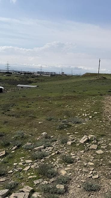 samaxi torpaq satilir: Tikinti, Kupça (Çıxarış) — 10