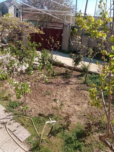 снять комнату в общежитии: Satilr: geniş və işıqlı otaq.2 otaq 1 zal metbex hamam ayaq yolu — 22