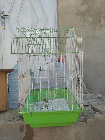 at sekileri: Quş qəfəsləri – müxtəlif ölçü və modellər - Rənglər: qırmızı, yaşıl — 2