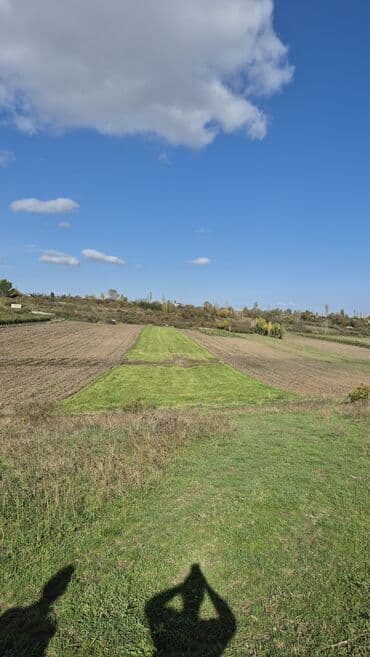 qarabağda kirayə evlər: 81 соток — 1