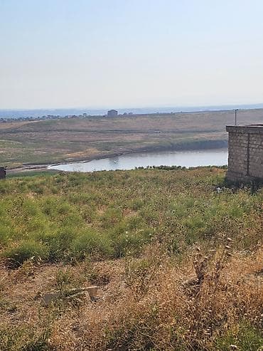 8 sot, Tikinti, Mülkiyyətçi, Kupça (Çıxarış) — 4