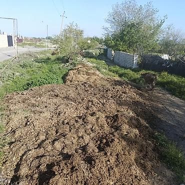 su çəni 1 ton: Təbii mal peyini – sahə və bağ üçün üzvi gübr 1 maşını 40 manat — 1