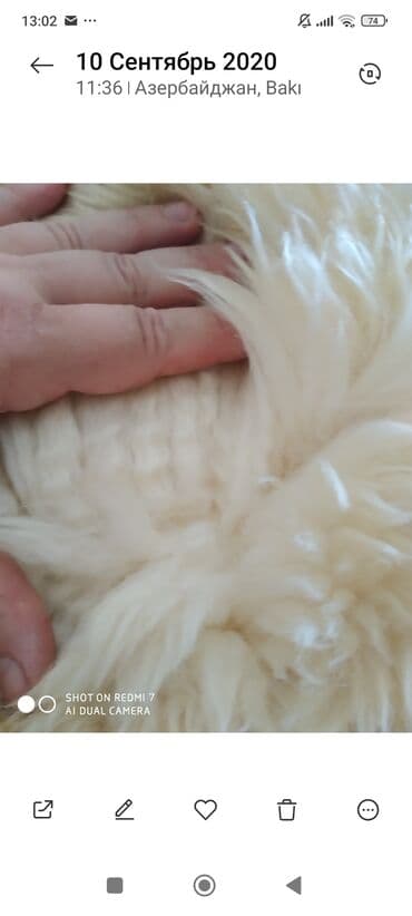 Parçalar: Мерино германия — 6