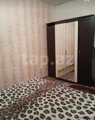 gence pasyolka: Oğlan otağ yoldaşi axtarilir tələbə veya genc is adami evdə — 3