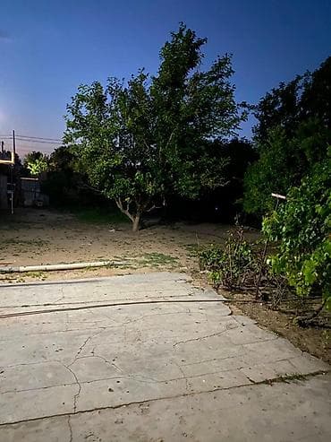 sabuncuda ev: 🏡 Satılır – 16 sot həyət evi 📍 Ünvan: Köhnə Suraxanı ✅ Həyətdə — 7