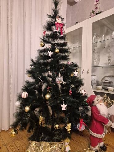 Горшки для растений: Sıx iynelu yolka İyneleri tökülənlərdən deyil 90 azn alınıb 1.80sm — 2