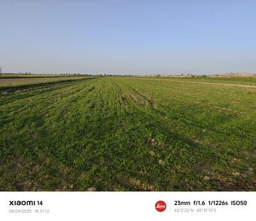 сабирабад: 403 соток, Для сельского хозяйства, Купчая — 5