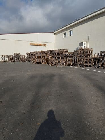 Hernov palet aliwi ve satiwi. Taxta paletlər müxtəlif malların lalafo.az -da Hernov palet aliwi ve satiwi. Taxta paletlər müxtəlif malların