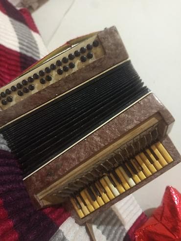 Fleytalar: Akustik Akkordeon, İşlənmiş, Ödənişli çatdırılma — 2