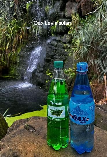 isti su: Məhsul: Qax Leyla suları və limonadları – 1L plastik butulka — 2