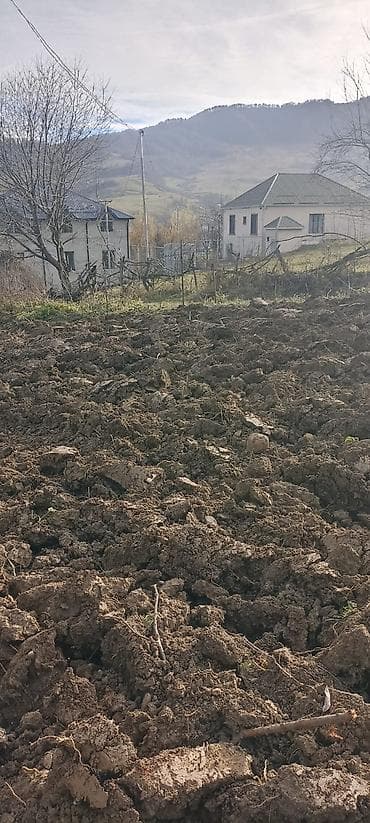 kohnə suraxanı: Kənd təsərrüfatı — 2